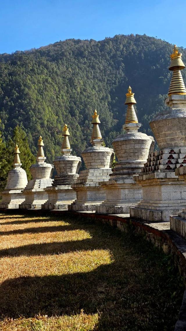 Memorial chortens with gilded spires on a forested hillside near Dochula Pass, Bhutan.