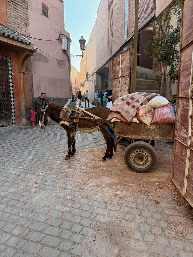 Donkey cart on a narrow medina street showing daily life in Marrakech, Morocco.